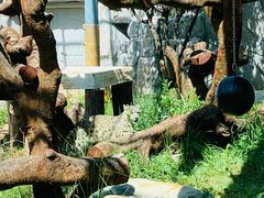 -青藏高原野生动物园
