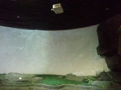 -九江市博物馆