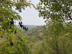 -北京西山国家森林公园