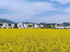 -东梓关景区村庄