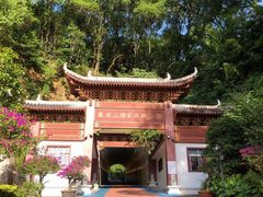 -凤凰山国家森林公园