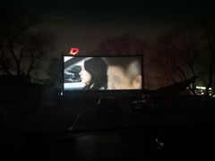 -枫花园汽车电影院(朝阳公园店)