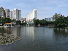 -荔湾湖公园