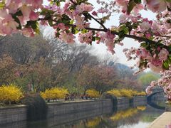 -元大都城垣遗址公园