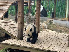 -南昌动物园