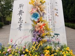 -淄博聊斋城景区