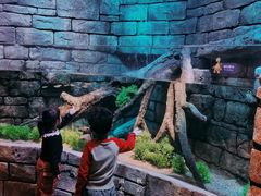 -沈阳海洋探索中心