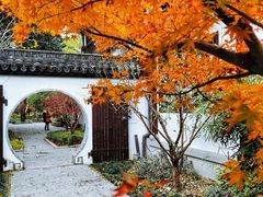 -上海醉白池公园