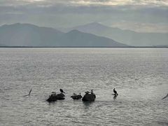 -深圳湾公园(南山区)