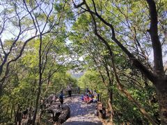 -紫金山山顶公园
