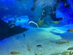 -沈阳海洋探索中心