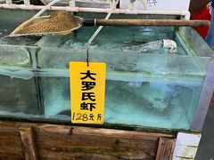 -寻味顺德·南记酒家·传统顺德菜·鱼生(广源路店)