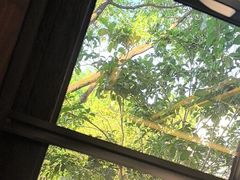 -桃源咖啡厅(武夷山大红袍山庄店)