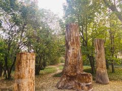 -国家植物园南园