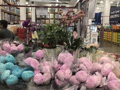 -山姆会员商店(上海浦东店)