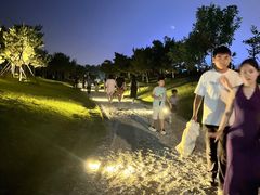 -小麦岛公园