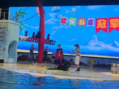 -三亚海昌梦幻海洋不夜城