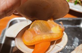 Air-Freighted Large Yellow Clams