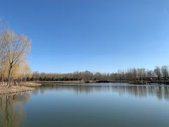 -东郊湿地公园