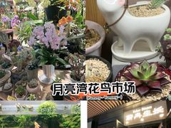 -瑞虹新天地月亮湾