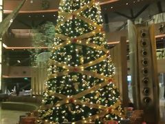 -上海滴水湖皇冠假日酒店