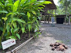 -大象粑粑造纸公园