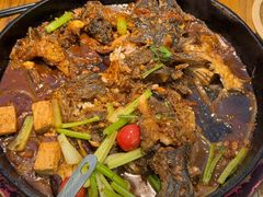 -老板恋上鱼(印象城店)