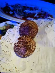 -格乐利雅婚礼艺术中心(南外滩店)