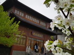 -杏花村文化旅游区