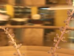 -碧露轩·大益茶体验馆(镇江路店)
