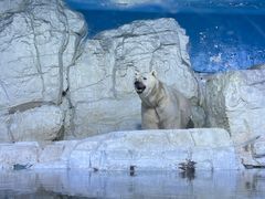 -大连老虎滩海洋公园