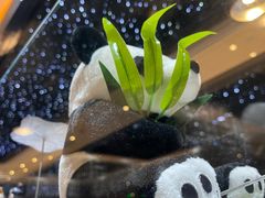 -红辣椒·川菜·火锅(张杨路店)