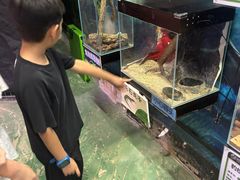 -正佳雨林生态植物园