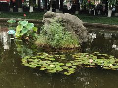 -温江公园