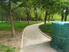 -莲花池公园