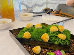 -肆月河豚·新淮扬(金融街店)
