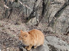 -终南山南五台景区