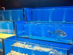 -枫伝料理居酒屋