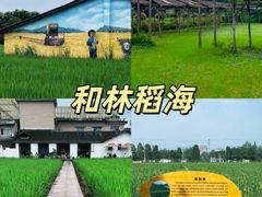 -老鼎万春卤菜(五代传承创始老店)