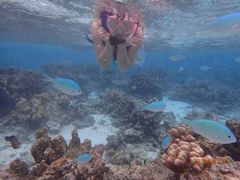 -DFS旗下塞班岛T广场(Saipan)