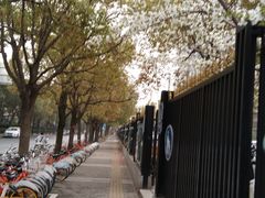 -永乐路-路侧停车场