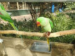 -大连森林动物园