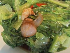 -金鼎轩(鸟巢北辰荟店)
