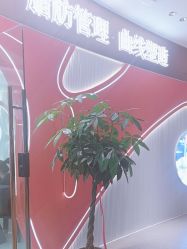 -Lily纤美·科技减脂中心