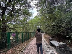 -聚龙山公园