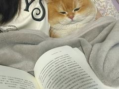 -爱侣宠医·鹦鹉专科·小型哺乳类·异宠专科(灵石路店)