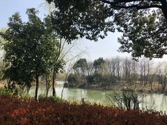 -梁鸿国家湿地公园