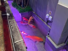-海碗居老北京炸酱面(增光路店)