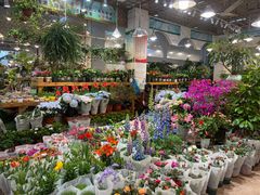 -双季花艺园艺市场(浦东店)