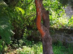 景点-阳台山自然风景区